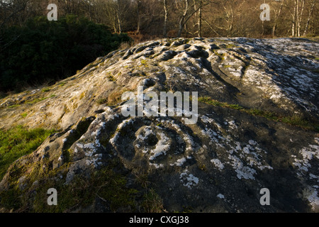Cup e anello pietra segnata a Roughting Linn in Northumberland, il più grande del suo tipo in Inghilterra settentrionale Foto Stock