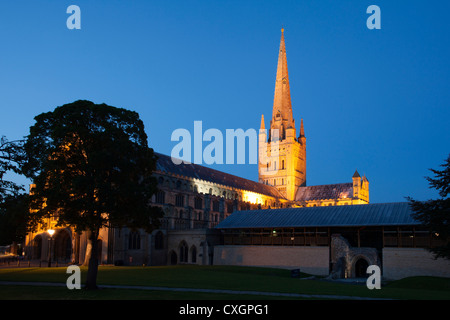 Norwich Cathedral illuminati al crepuscolo Norwich Norfolk Inghilterra Foto Stock