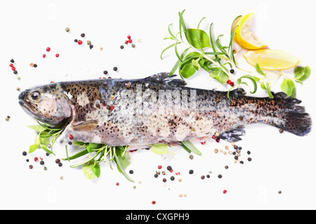 La trota arcobaleno riempito con erbe fresche Foto Stock