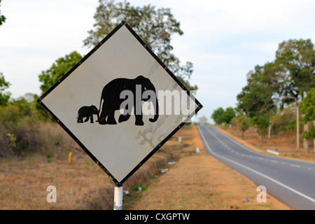 Attraversamento di elefante cartello stradale nei pressi di Anuradhapura sull'autostrada A12 in Sri Lanka. Foto Stock