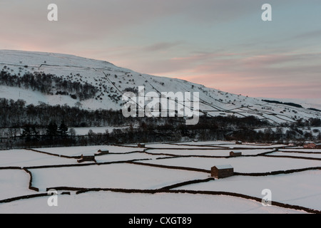 Gunnerside fienili in inverno, Yorkshire Dales, tramonto, neve, campi, sunrise, stalattite muri, alberi, inverno Foto Stock