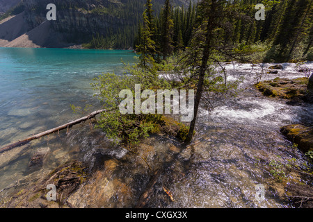 ALBERTA, CANADA - Il fiume sfocia nel Lago Louise, un lago glaciale nel Parco Nazionale di Banff. Foto Stock