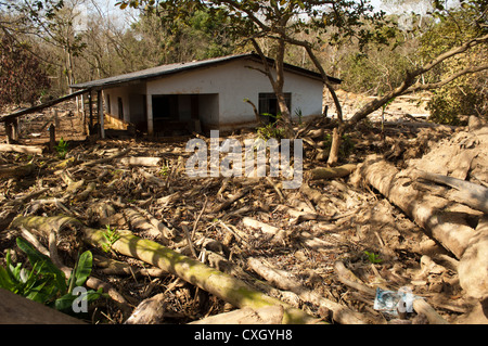 Frana tragedia causata dalla pioggia in dello stato del Paraná, Brasile del Sud Foto Stock