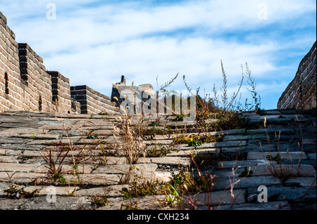 L'erba secca sulla Grande Muraglia Foto Stock