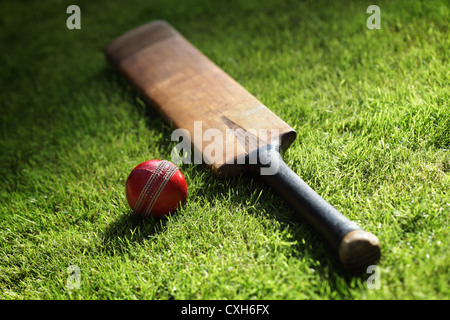 Cricket bat e sfera Foto Stock