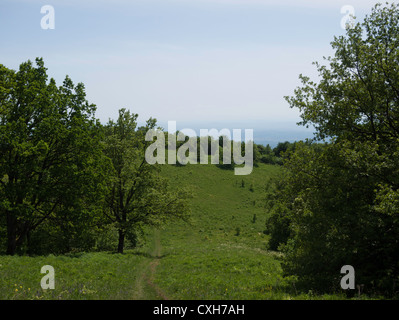 Japetić Paesaggi, Samobor, Croazia Foto Stock