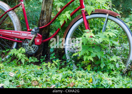 Vecchio rosso noleggio cruiser con cromo parafanghi Foto Stock