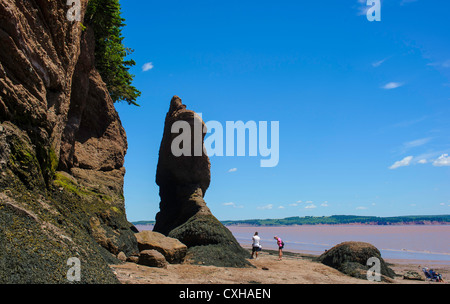 Hopewell rocce a bassa marea in New Brunswick Foto Stock