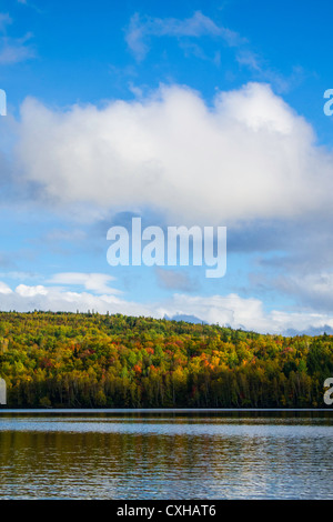 I colori dell'Autunno lungo il San Giovanni nel fiume New Brunswick Canada Foto Stock