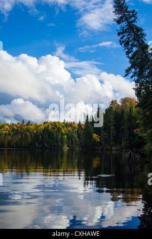 I colori dell'Autunno lungo il San Giovanni nel fiume New Brunswick Canada Foto Stock