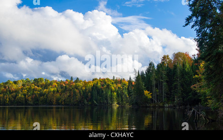 I colori dell'Autunno lungo il San Giovanni nel fiume New Brunswick Canada Foto Stock