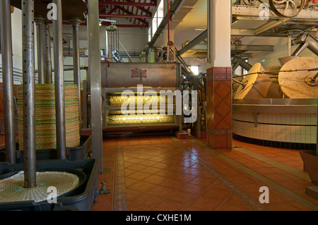 Baena, Fabbrica d'olio d'oliva. Núñez de Prado, itinerario del califfato, in provincia di Cordoba, Andalusia, Spagna Foto Stock