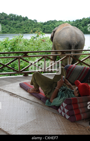 Mahout rilassa mantenendo un occhio sull'elefante. Laos. Foto Stock