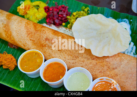 Dosa, croccante gustosi pancake dall India del Sud Foto Stock