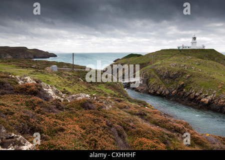 Strumble Head Lighthouse, Fishguard, Nord Pembrokeshire Coast, South Wales, Regno Unito. Foto Stock