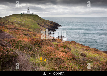 Strumble Head Lighthouse, Fishguard, Nord Pembrokeshire Coast, South Wales, Regno Unito. Foto Stock