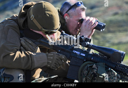 Base comune elmendorf-richardson, Alaska -- ancoraggio dipartimento di polizia armi speciali e operazioni tattiche (swat) team ufficiali di treno sulla ad alto angolo gamma sniper a base comune elmendorf-richardson, martedì, aug. 28, 2012. la formazione specializzata prepara ufficiali per diversi scenari in cui precisione di tiro e ricognizione può essere necessario. Foto Stock