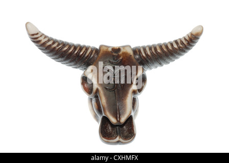 cranio del Bull Foto Stock