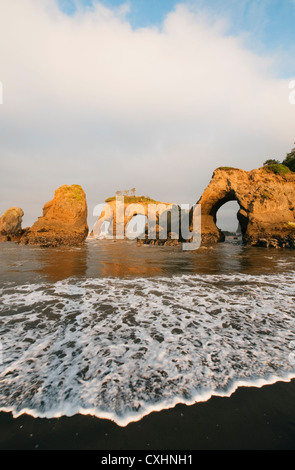 Tunnel area isola, Pacific Coast, Quinault Indian Reservation, Penisola Olimpica, Washington Foto Stock