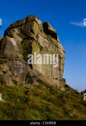 La vacca della mucca e rocce di vitello a Ilkley Moor, West Yorkshire, a sunrise. Foto Stock