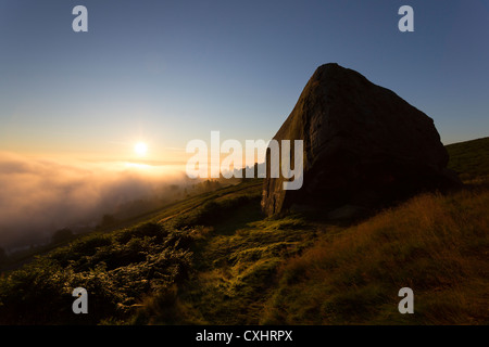 Il latte di mucca e di rocce di vitello a Ilkley Moor, West Yorkshire, a sunrise. Foto Stock