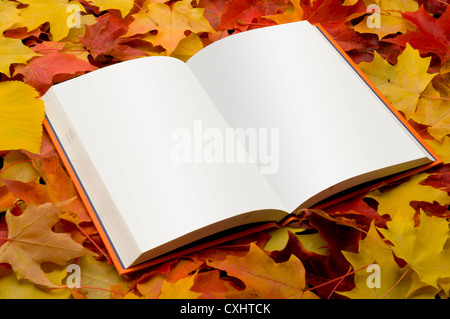 Libro aperto su foglie di autunno Foto Stock