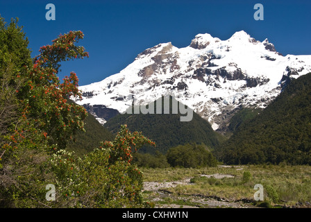 Elk198-3618 Cile, Vicente Perez Rosales National Park, il Monte Tronador Foto Stock