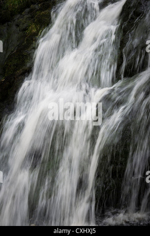 Moss vigore la cascata nel Newlands Valley Lake District Cumbria Nord Foto Stock