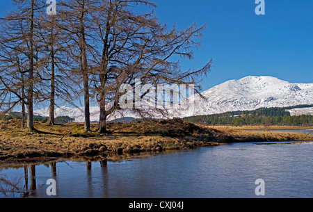 Snowpeak, alberi, Acqua, cielo blu, Loch Tulla e il Blackmount in primavera, Highlands scozzesi, REGNO UNITO Foto Stock