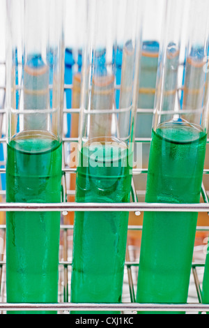 Processo di semina in un cibo il laboratorio di prove proceso de siembra en onu laboratorio de analisi de Alimentos Foto Stock