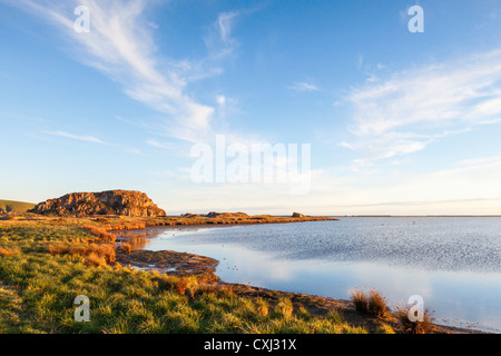 La vista dal piccolo fiume Railtrail, una pista ciclabile che corre da Christchurch a piccolo fiume, Foto Stock