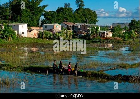 Risaie, Antananarive, Madagascar Foto Stock