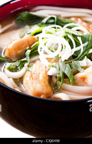 Udon Noodles Foto Stock