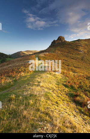 Sunrise sulla speranza Bowdler Hill in Shropshire. Gaer pietra può essere visto nel mezzo della foto. Caer Caradoc è sulla sinistra Foto Stock