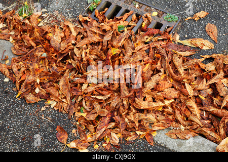 Caduto Foglie di autunno in gronda su strada Foto Stock