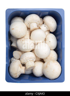 Champignons Agaricus bisporus, il comune, champignon, crimini, bianco o una tabella di funghi, in un supermercato vassoio, isolato Foto Stock