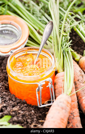 Primo piano della materie carote nella sporcizia in un orto con un contenitore in vetro di marmellata di carota Foto Stock