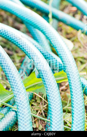 Il tubo flessibile di irrigazione giacente su erba in giardino vegetale Foto Stock