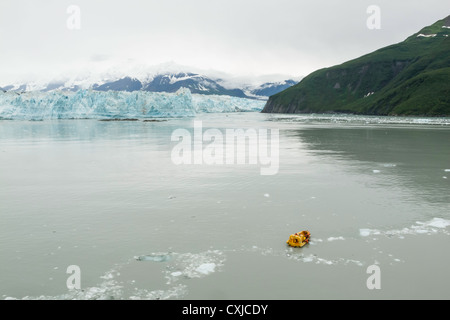 La barca di salvataggio e il ghiacciaio Hubbard nella baia di disincanto, Alaska, STATI UNITI D'AMERICA Foto Stock