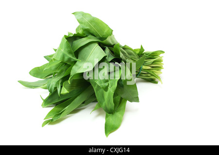 Ramsons isolati su sfondo bianco Foto Stock