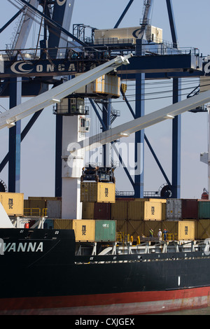 Lo scarico di container da contenitore nave da carico. Porto di Cadiz Spagna Foto Stock