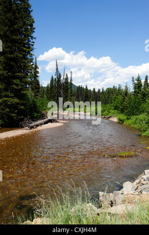 Monture Creek nel Montana Foto Stock