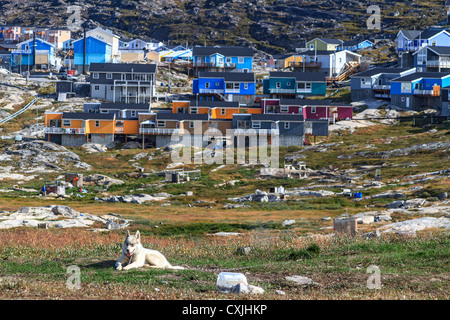 Slitte trainate da cani sedersi da loro cucce ad Ilulissat. Case della città sono in background. Foto Stock