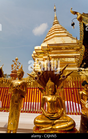 Il golden Stupa del tempio Buddista Wat Phra That Doi Suthep vicino a Chiang Mai in Thailandia Foto Stock