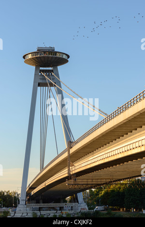Novy Most (ponte nuovo) progettato da A. Tesár, J. Lacko e I. Slameň, Bratislava, Slovacchia, Europa Foto Stock