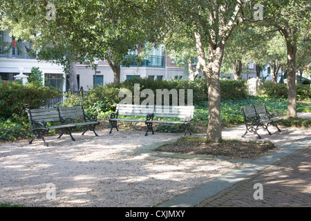 Tranquillo e ombreggiato waterfront park a Charleston, Carolina del Sud con panche, live oaks e panche Foto Stock