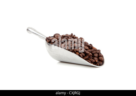 Il nastro convogliatore piena di tutto il caffè in grani su sfondo bianco Foto Stock