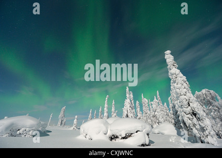 Luci del nord, Nissi, Nordoesterbotten, Finlandia Foto Stock