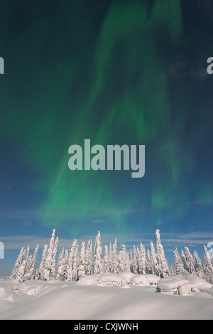 Luci del nord, Nissi, Nordoesterbotten, Finlandia Foto Stock