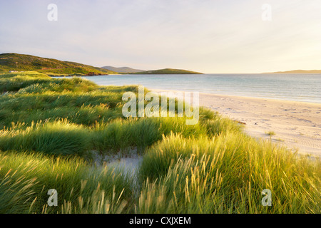 Coastal Scenic, suono di Taransay, Isle of Harris, Ebridi Esterne, Scozia Foto Stock